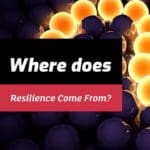 Episode 002: Christian Moore and Dave Biesinger - Where Does Resilience Come From?